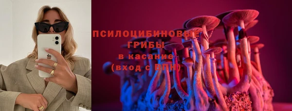 ALPHA PVP Покачи