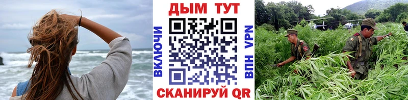 сайты даркнета Telegram  Данков  Бошки марихуана гибрид 